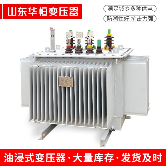 S13-10000/35顺庆顺庆顺庆电力变压器